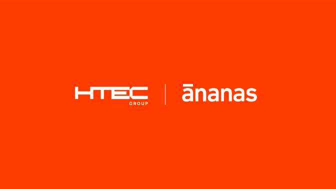 Ananas: Building the Largest eCommerce Platform in the Region from the Ground Up
